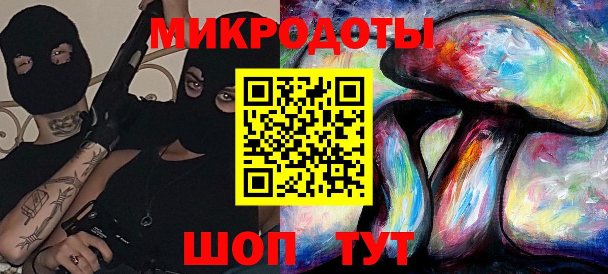 Галлюциногенные грибы Psilocybe Орск
