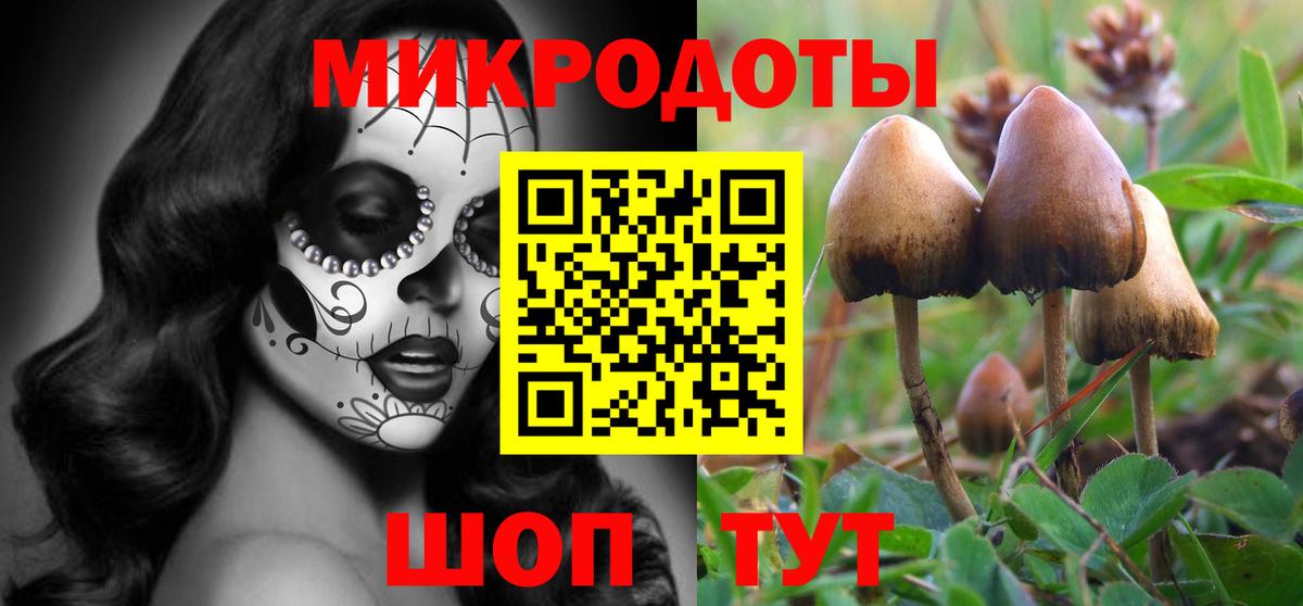что такое   Галлюциногенные грибы Psilocybe  Вход с VPN  Орск 